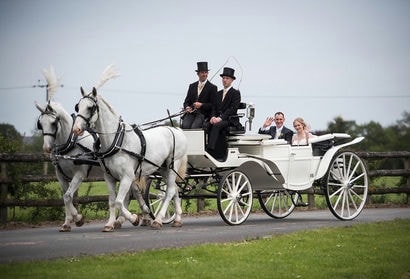 White Horse and Carriage Hire For Wedding