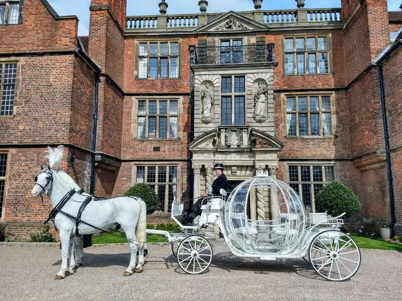 White Horse Drawn Carriage Online UK