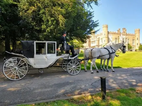 White Horse Drawn Carriage UK Hire